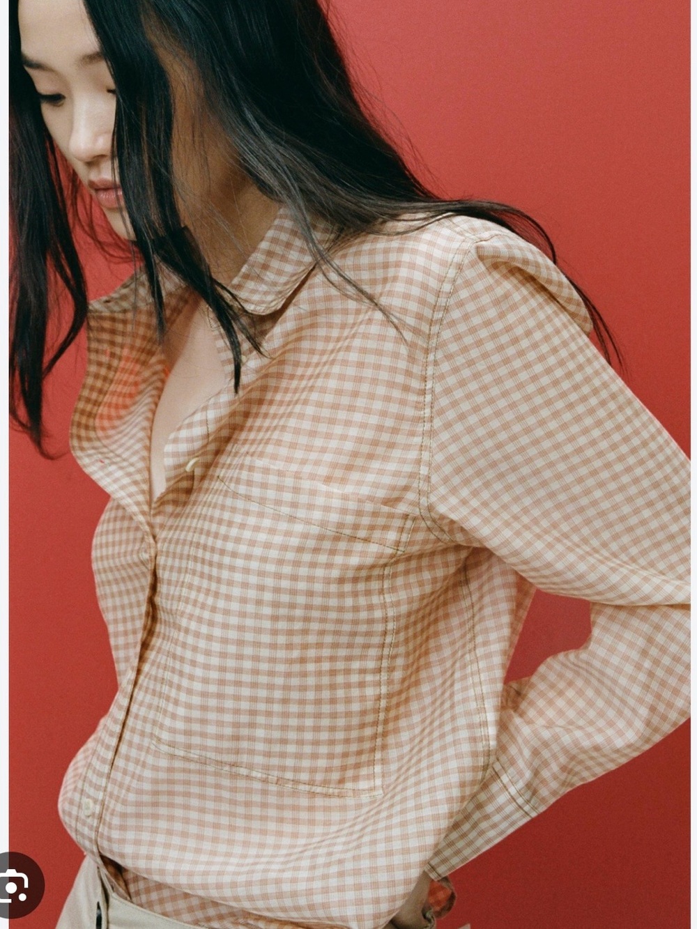 Zara Classic Gingham Button-Up Shirt in Beige
